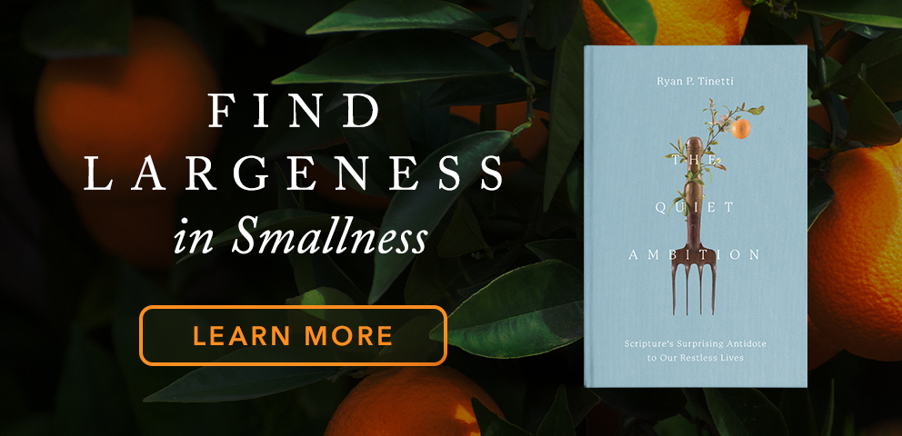 Find Largeness in Smallness  - Learn More