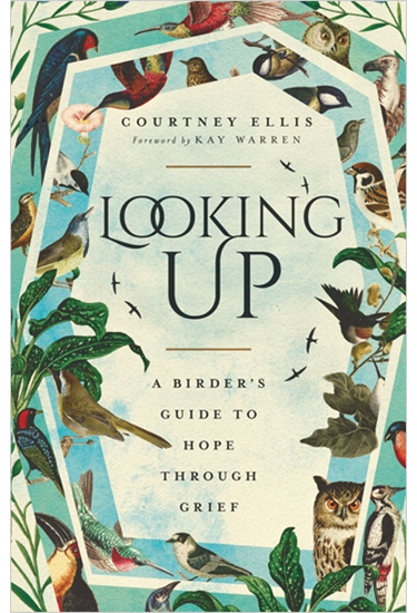 Looking Up: A Birder's Guide to Hope Through Grief, By Courtney Ellis