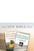 The New Bible Set