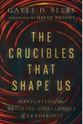 The Crucibles That Shape Us: Navigating the Defining Challenges of Leadership, By Gayle D. Beebe